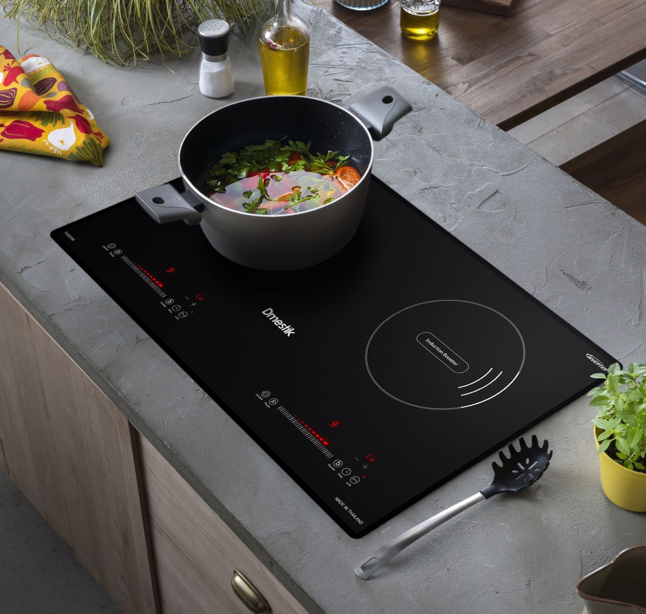 Bếp từ Dmestik TL 922DKI chính hãng có tốt không ảnh thực tế bếp từ dmestik TL 922DKI