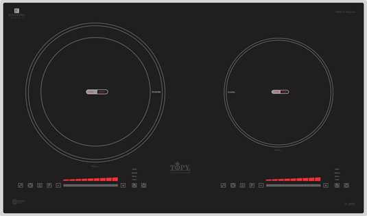 BẾP TỪ TOPY A66 PLUS