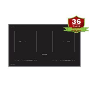 Bếp từ Faster FS 900I