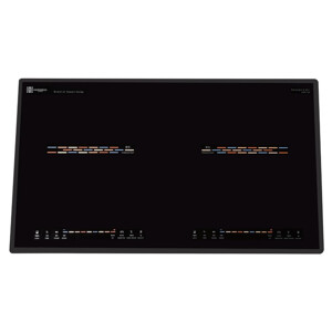 Bếp từ Hawonkoo CEH-205-II