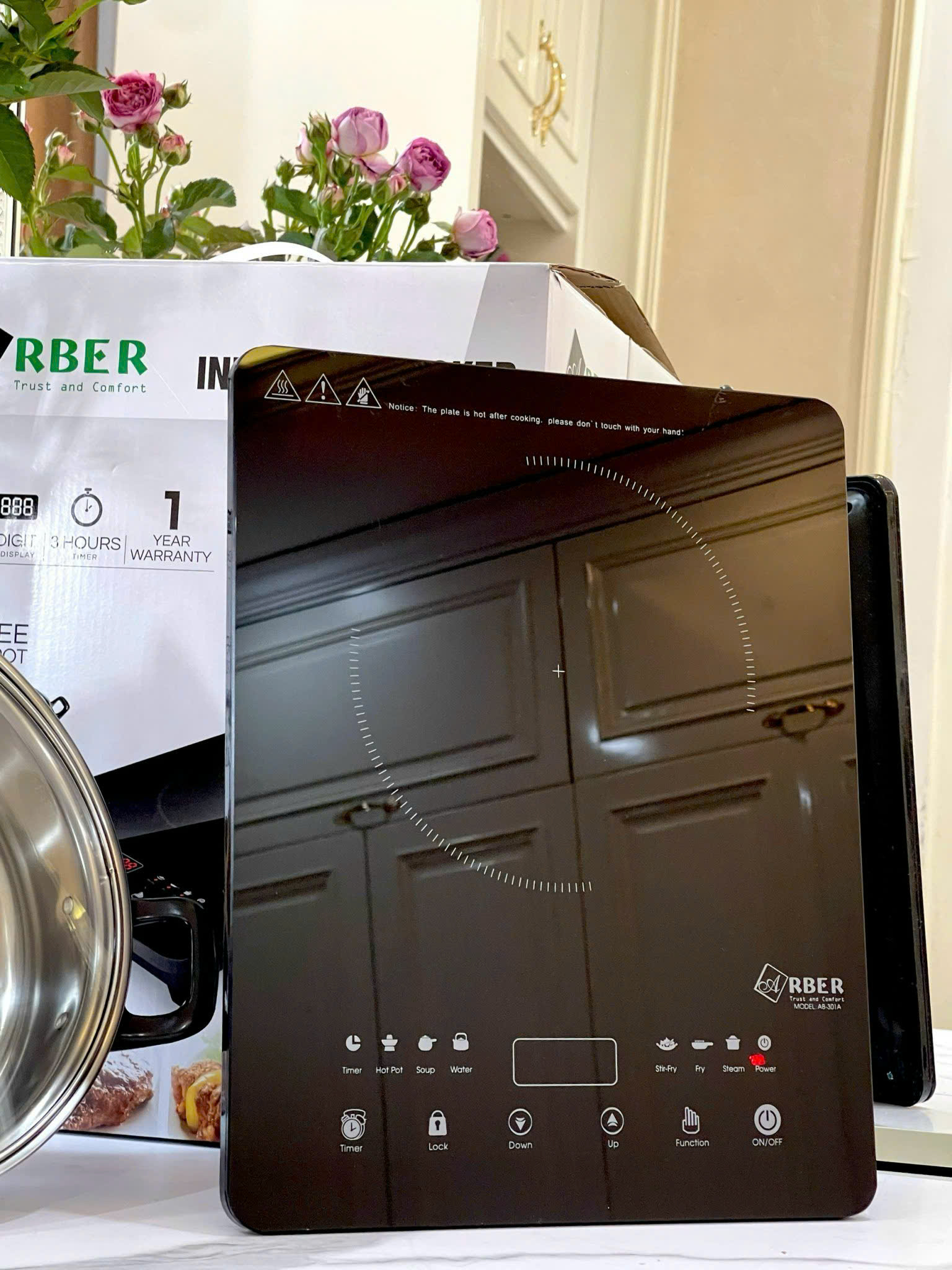 Bếp Từ Arber AB-301A