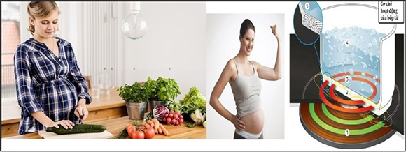 Bếp từ khi nấu có ảnh hưởng tới bà bầu không?