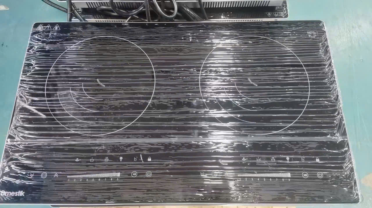 Bếp từ Dmestik TL 232 DMK